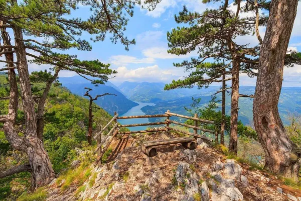 Najlepše planinarske destinacije u Srbiji za porodične izlete 3 Tara